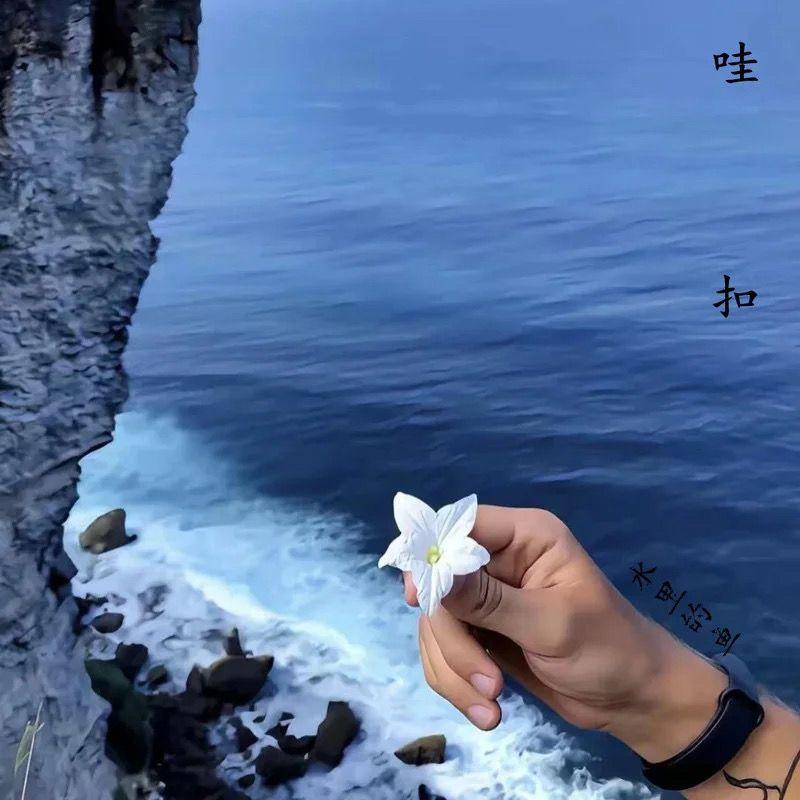 心随风起意于风止