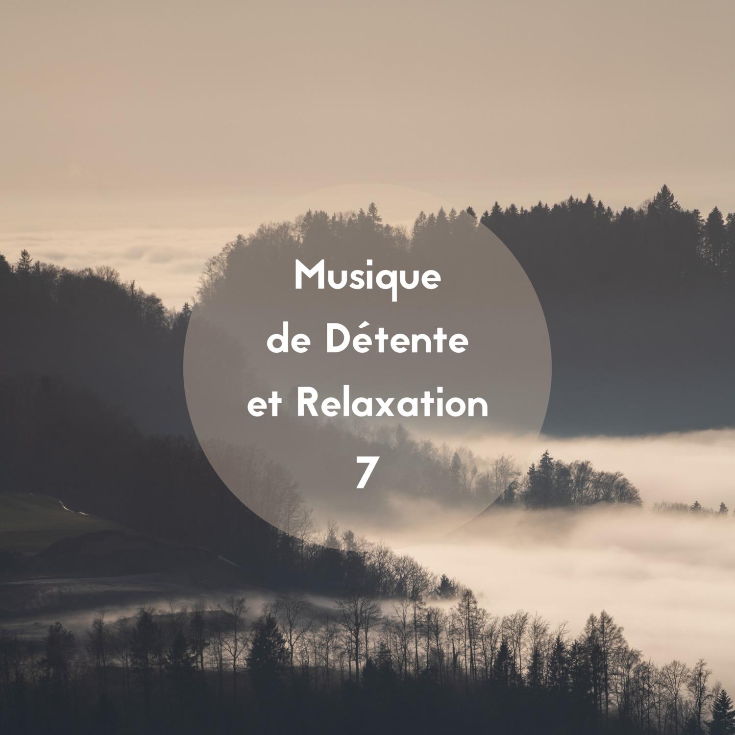 Musique de détente et relaxation, Vol. 7