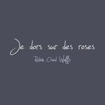 Je dors sur des roses / New Demo专辑