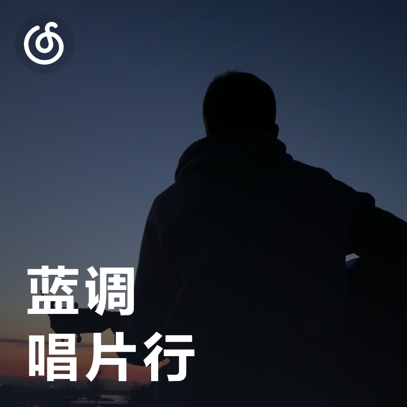 [蓝调唱片行] 感受蓝调慢节拍 每日更新30首