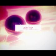 Nectar【nqrse ver.】