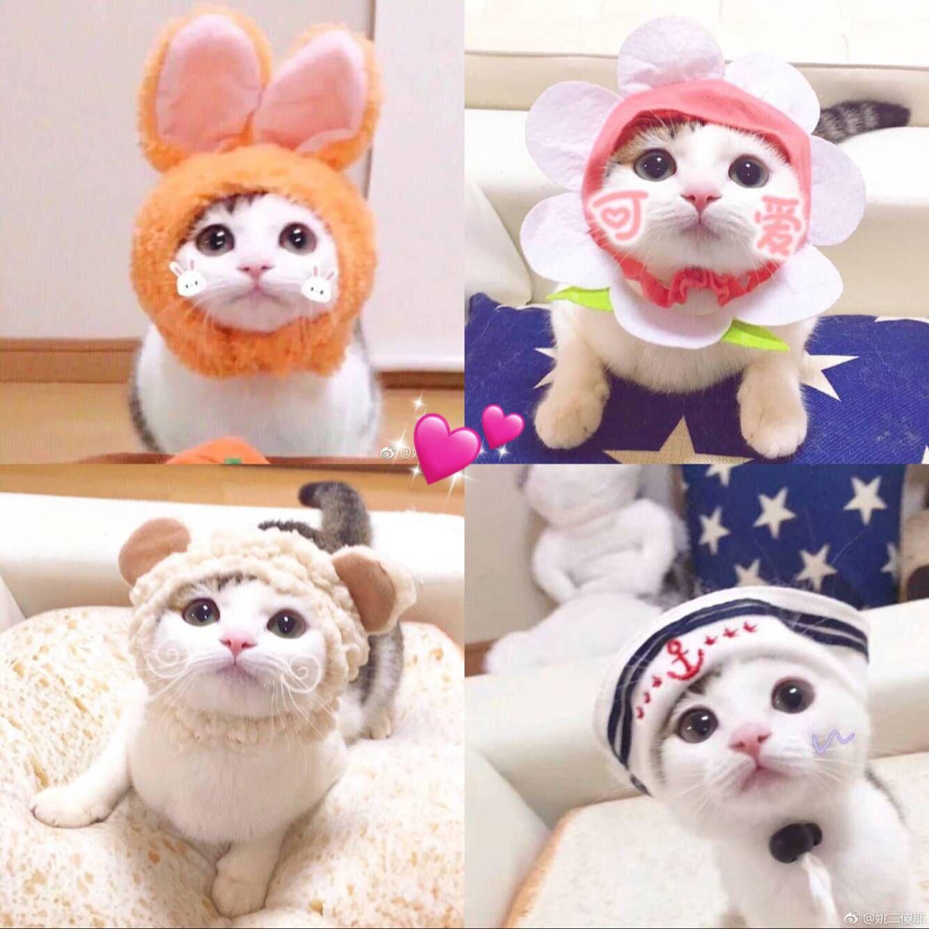 东西专辑