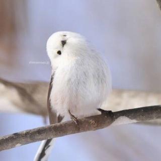 给你亲亲抱抱举高高