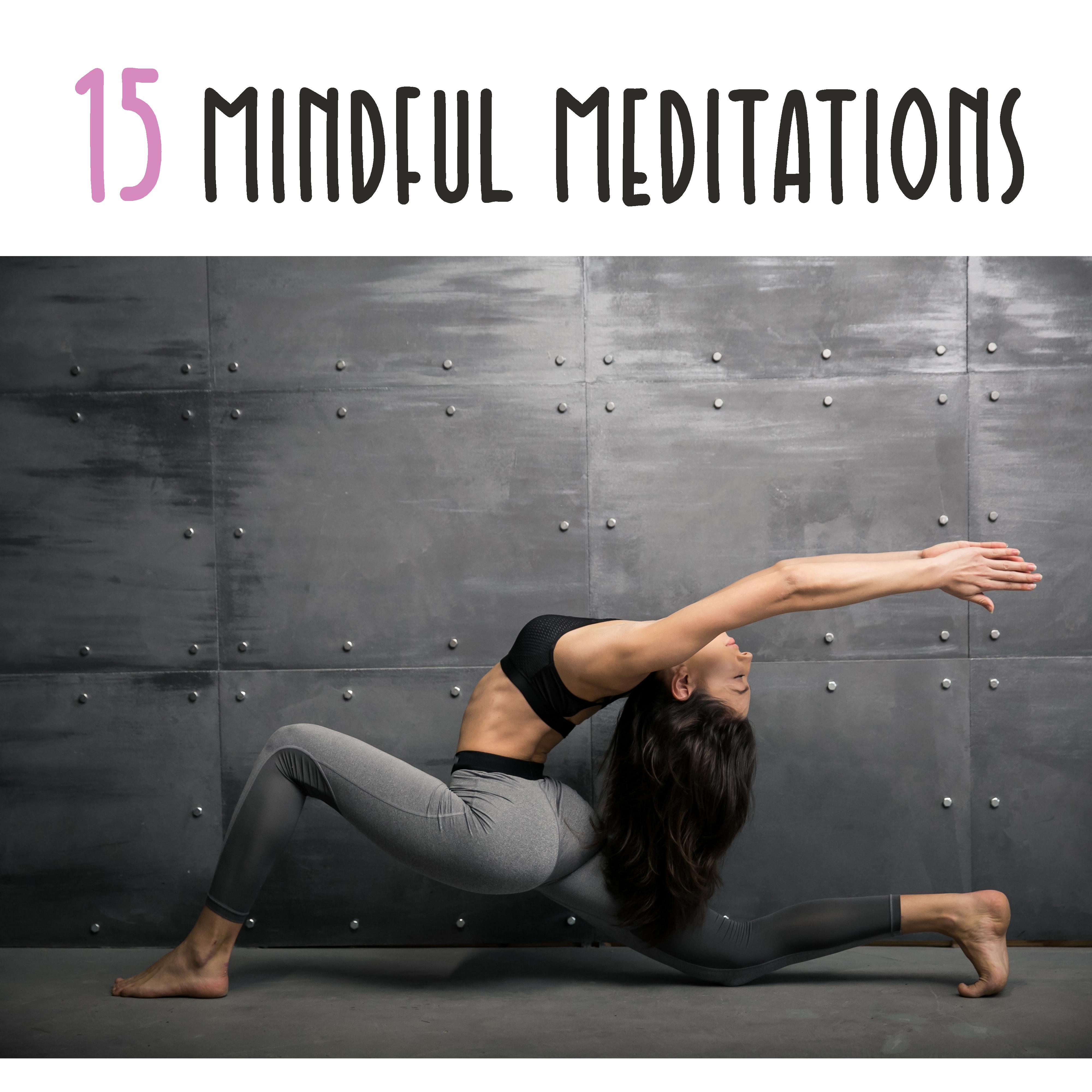 15 Mindful Meditations专辑