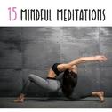 15 Mindful Meditations专辑