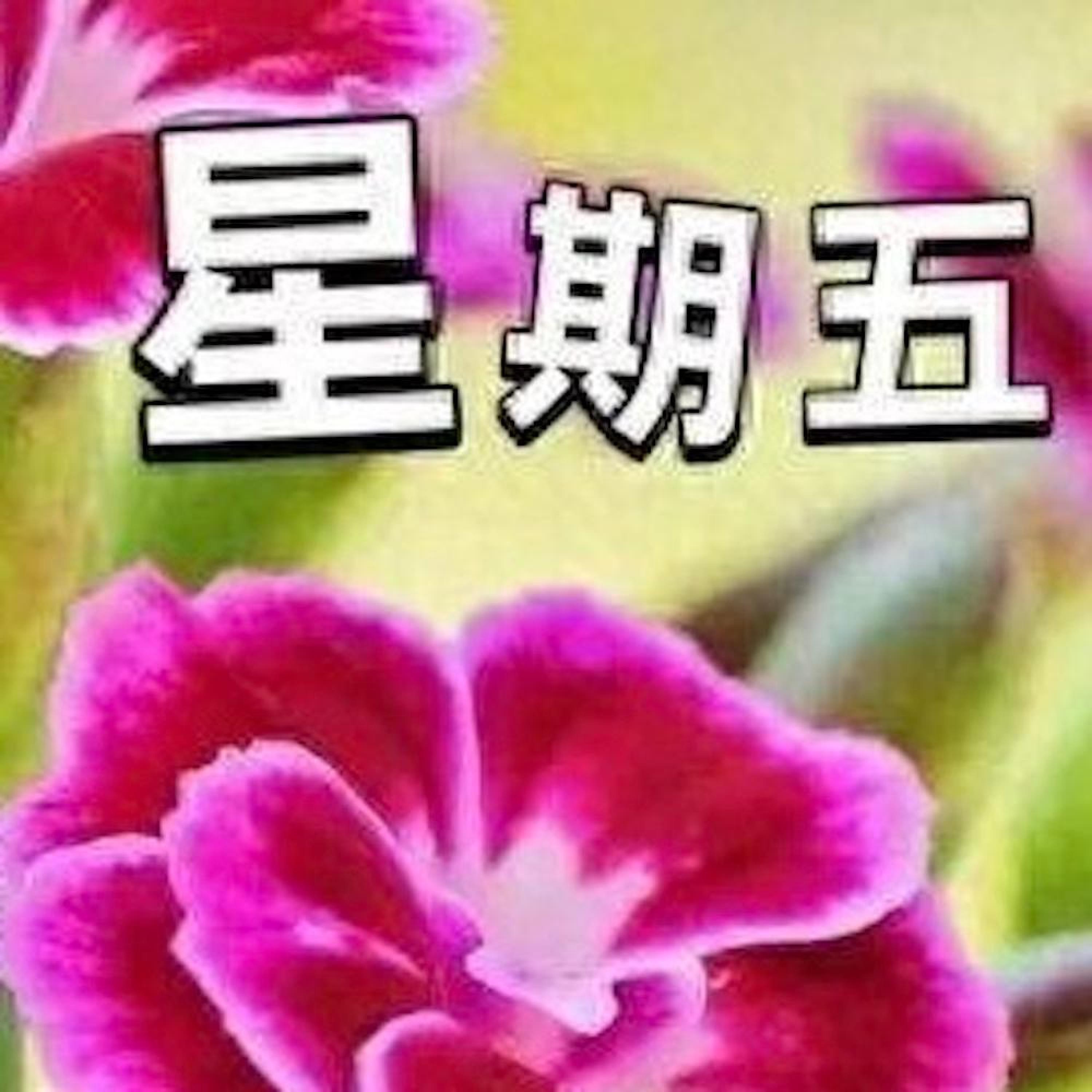 星期五 (feat. jackzebra)