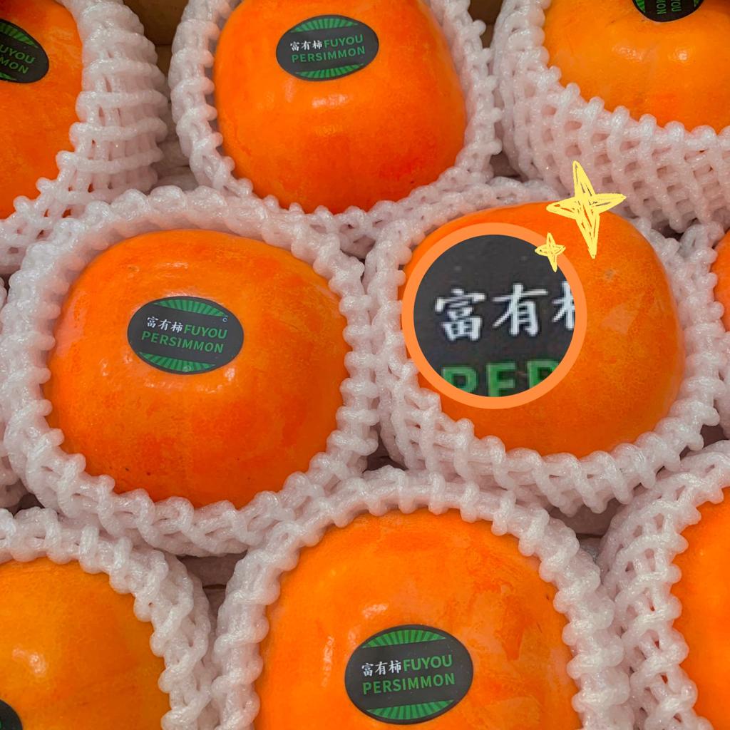 肉丸的VLOG歌单