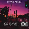 Don't let me go EXTAO REMIX