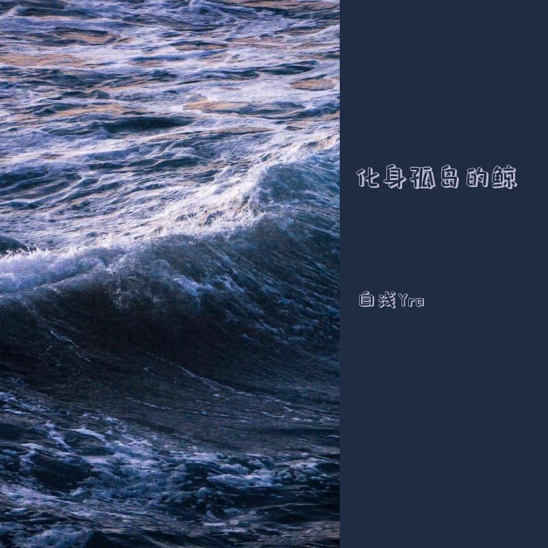 化身孤岛的鲸