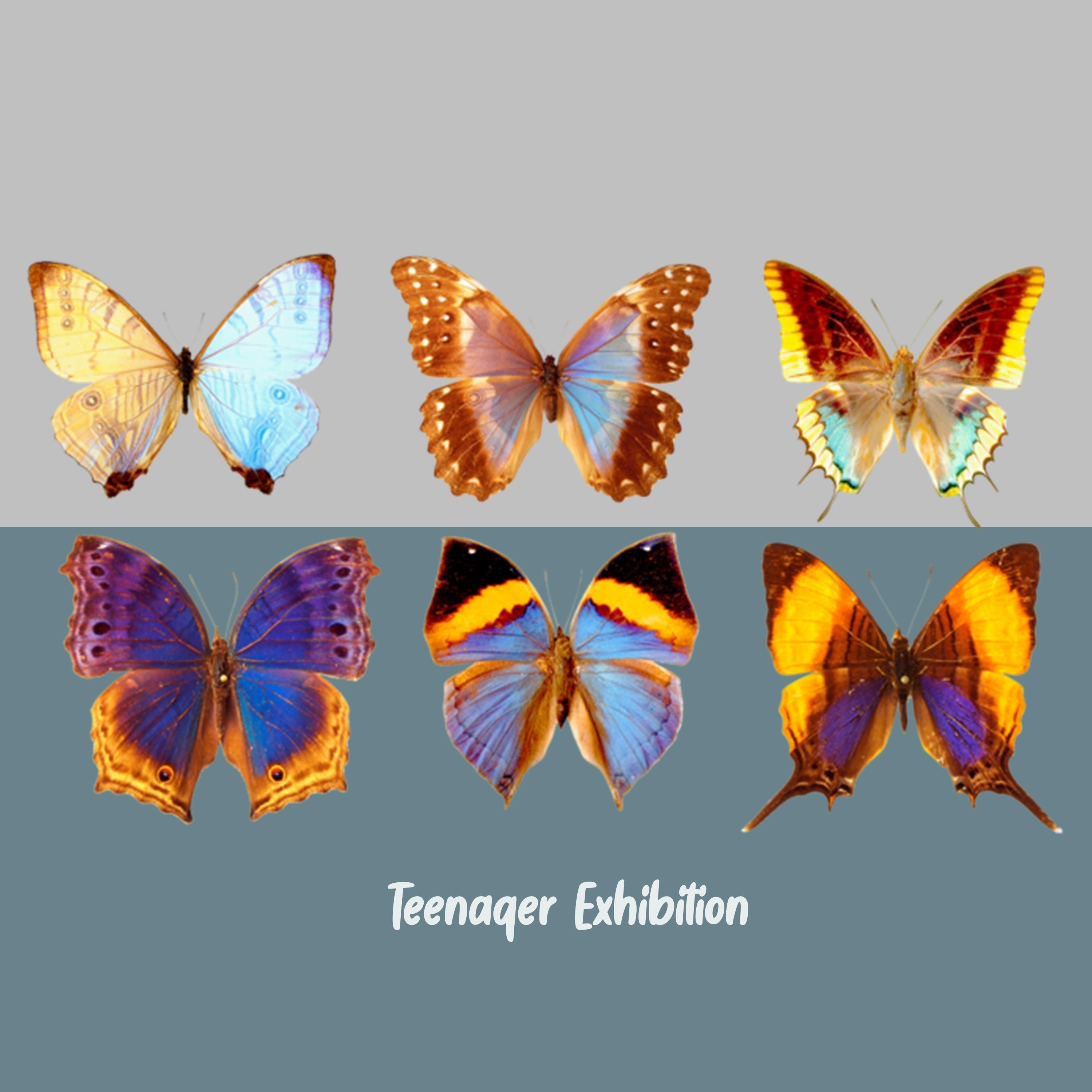Teenager Exhibition