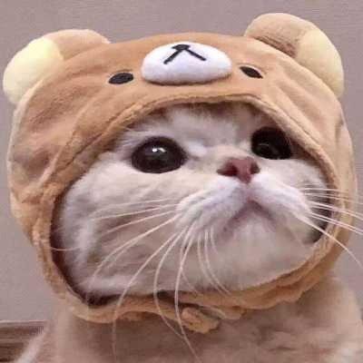 【中文流行歌曲】好听到单曲循环（已排