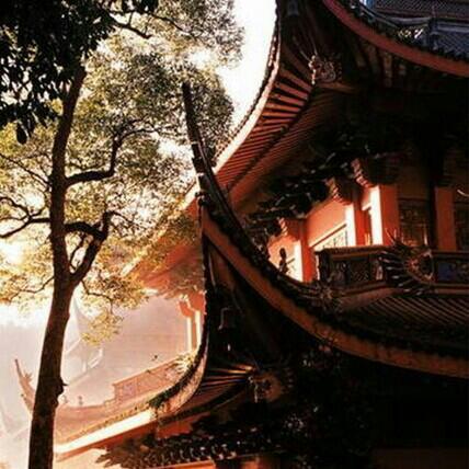 杨青：半山听雨 | 在线播放 | 网易云音乐