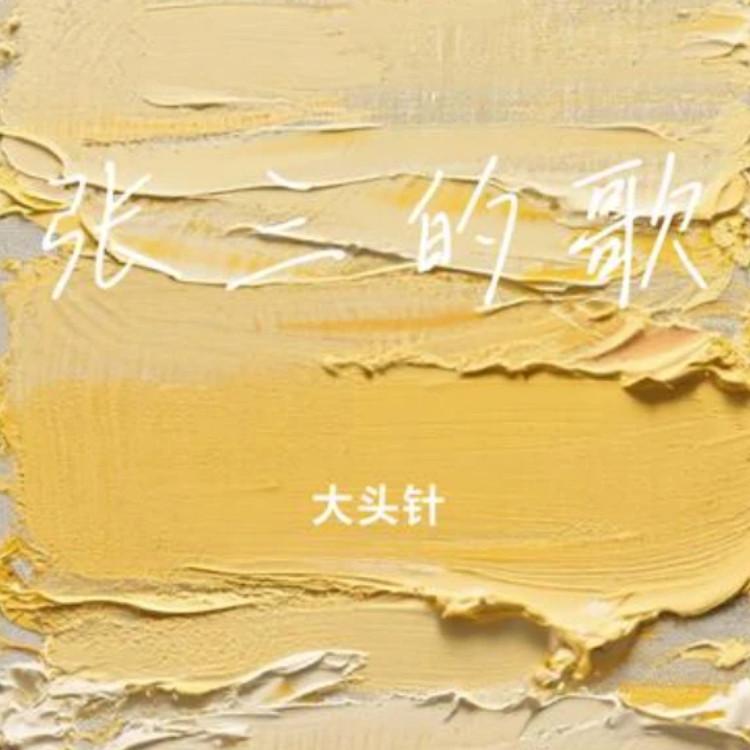 张三的歌 - 大头针 - 单曲 - 网易云音乐