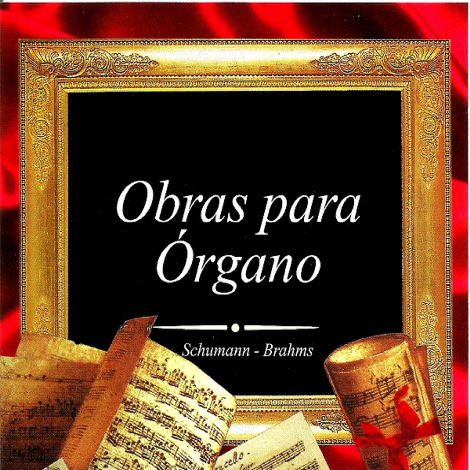 Obras para Órgano, Schumann - Brahms专辑