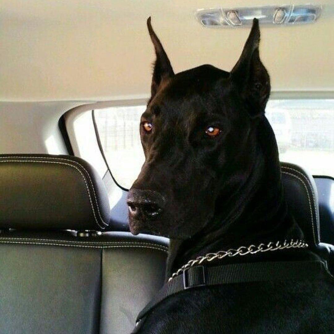 『地下/匪帮/老派/陷阱说唱』 | 在线播放 | 网易云音乐