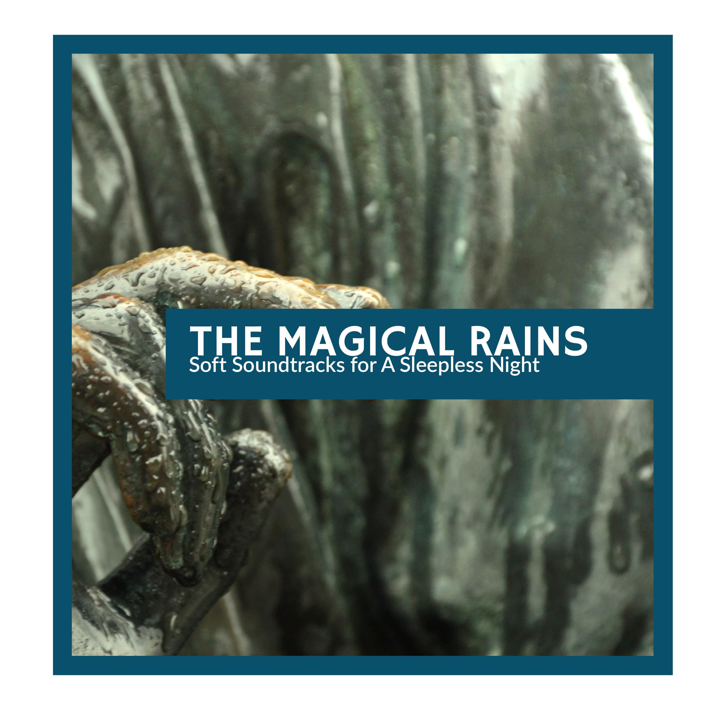 Underwater Nature Music Recordings - Amazon Moderate Rain Dripping