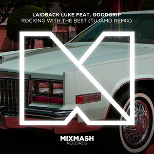 Laidback Luke - Rocking With The Best (Tujamo Remix) （降8半音）