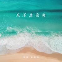 苏星婕、安扬 - 来不及爱你