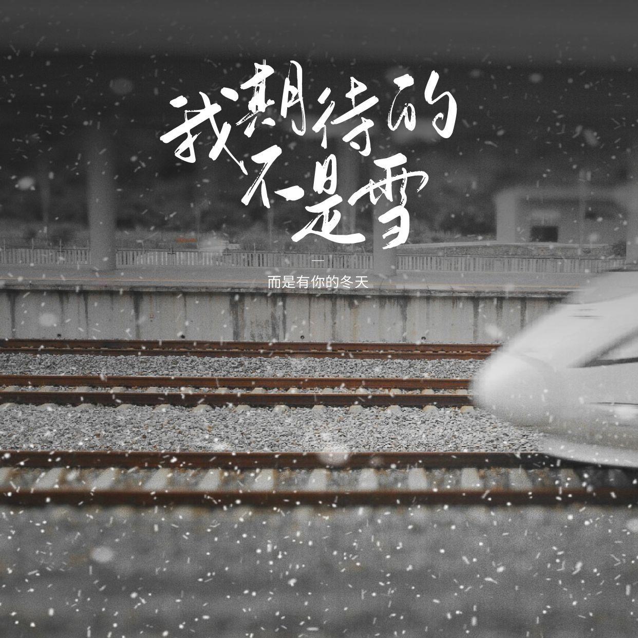 我期待的不是雪