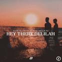 Hey There Delilah专辑