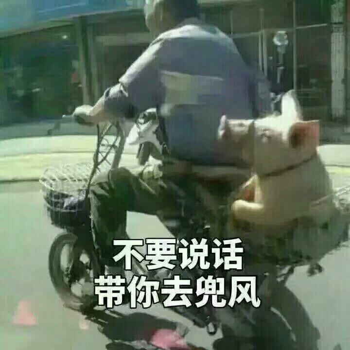 属于千禧一代的国语经典【都在这↓↓↓