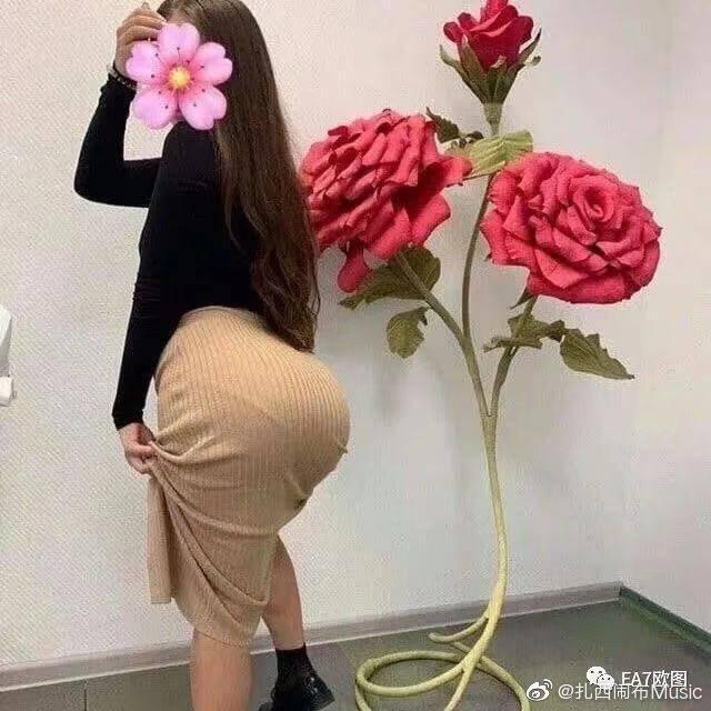 青海摇Remix【社会人专用群曲】