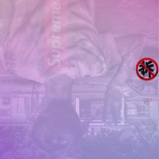 【以怪为名】THE-MUSIC-STRANGE
