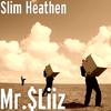 Slim Heathen - Mr.$Liiz