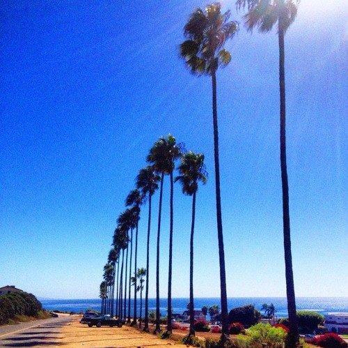 Jazzy·Lofi Hiphop