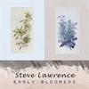 Steve Lawrence - I Need