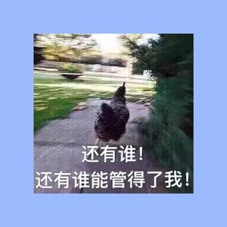 适合跳舞的中文说唱歌曲