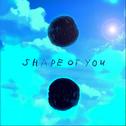 Shape Of You [Kenny Saxton Remix]专辑