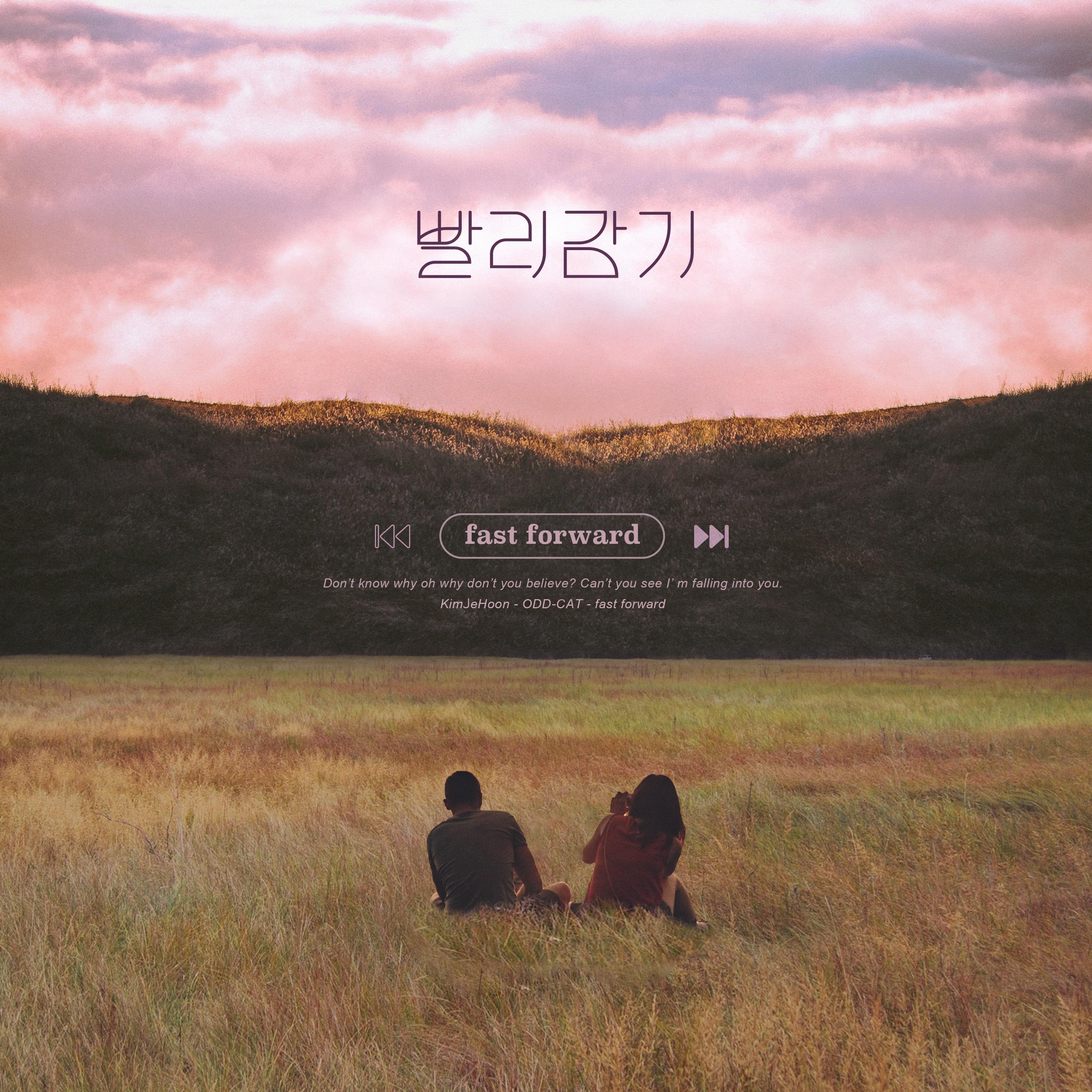 빨리감기(FF)