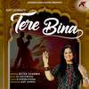 Richa Sharma - Tere Bina