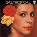 Gal Tropical专辑