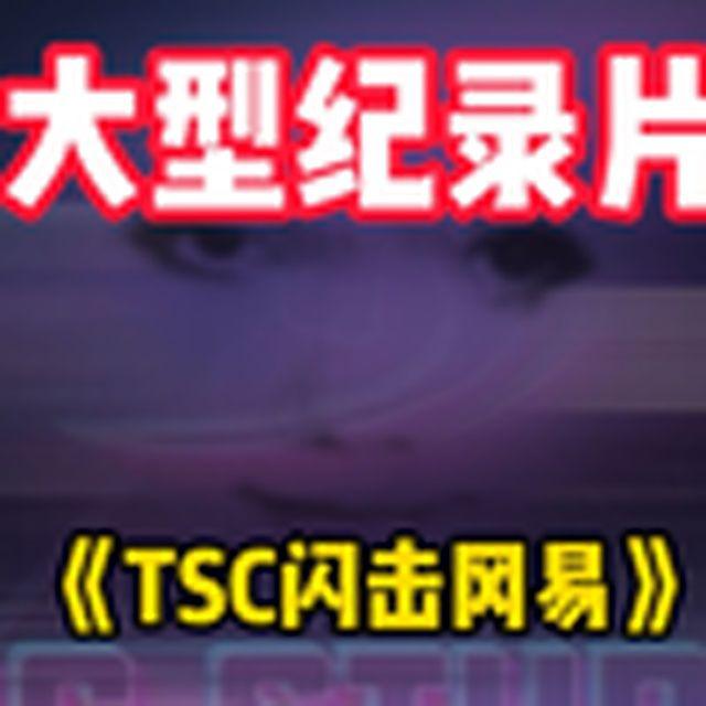 大型纪录片《TSC闪击冈易》