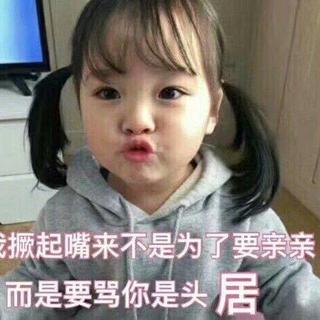沈以诚 焦迈奇 徐秉龙