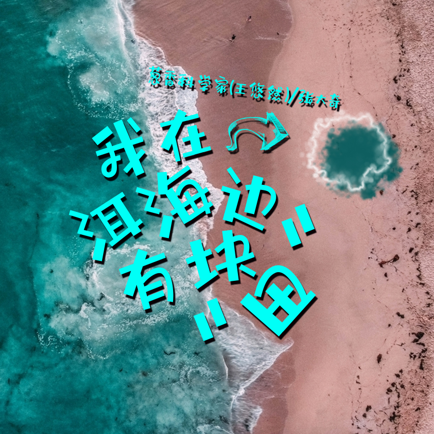 葱香科学家（王悠然）歌曲封面