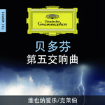 Beethoven: Symphony No. 5 (The Works)专辑