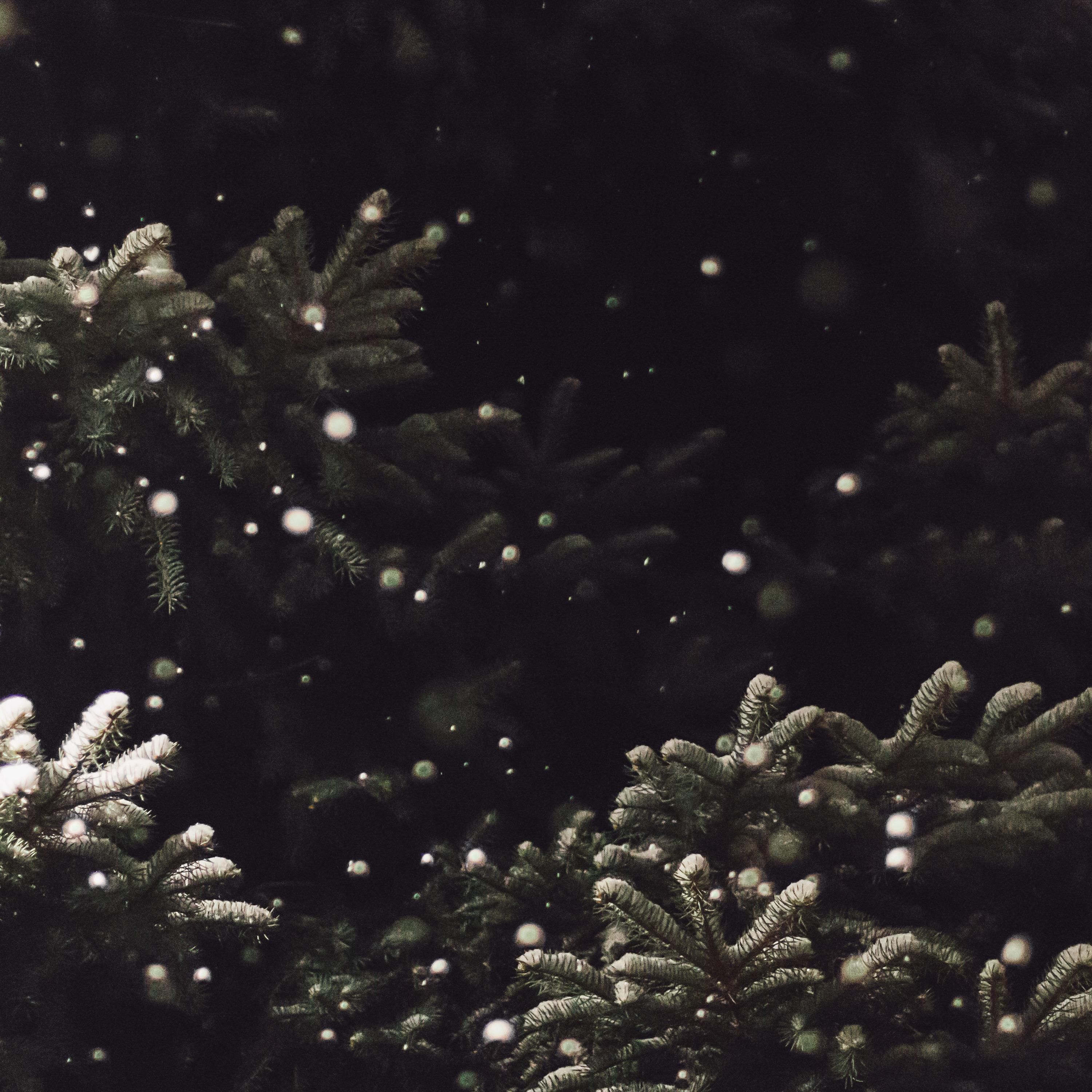 Snowflake