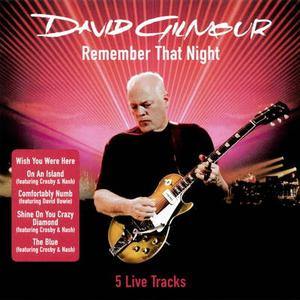 David Gilmour - Comfortably Numb (live in Gdańsk) (Karaoke Version) 带和声伴奏