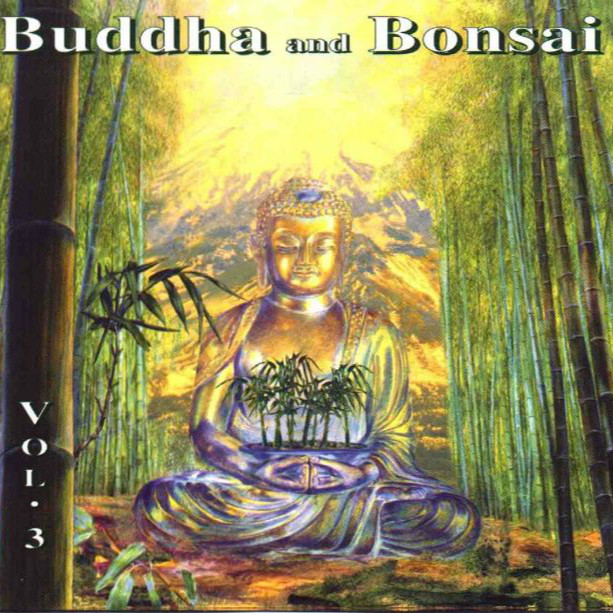 Buddha And Bonsai Vol. 3专辑