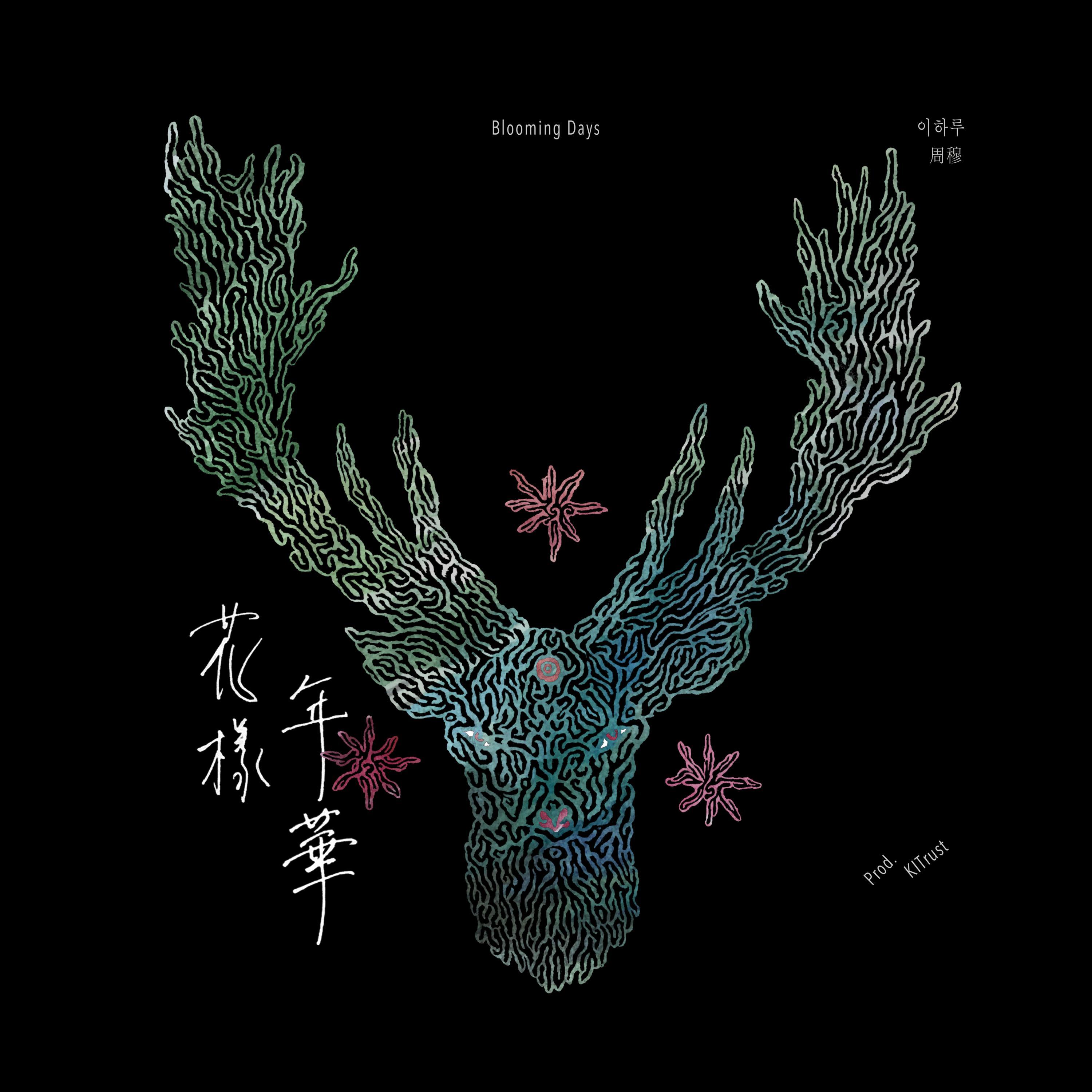 花样年华 화양연화