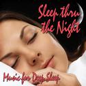 Sleep Thru the Night (Nature Sound)专辑