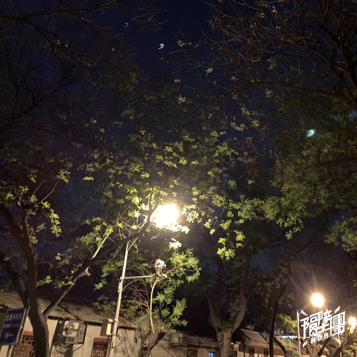 今夜的风