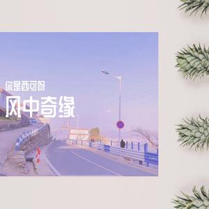 西单女孩 - 风中奇缘 （降4半音）