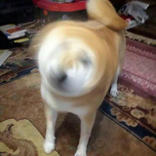 错过就后悔的节奏音乐