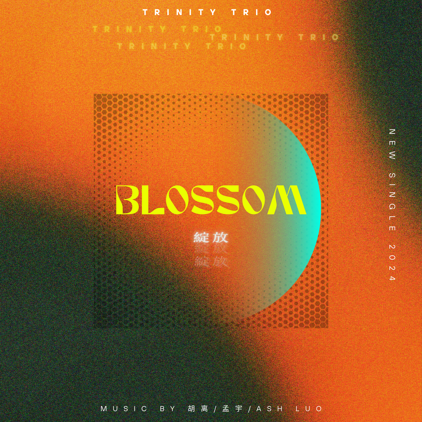 Blossom 「绽放」