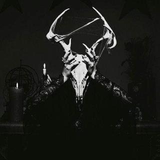 【精选】Deer鹿头抖音视频曲子