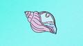 Seashells专辑